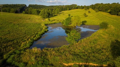 Welcome to Osage Fork Farm, a premier 820+/- acre Ozark property - photo 17