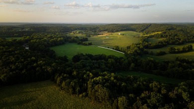 Welcome to Osage Fork Farm, a premier 820+/- acre Ozark property - photo 20