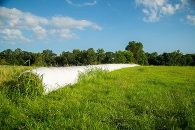 Welcome to Osage Fork Farm, a premier 820+/- acre Ozark property - photo 23