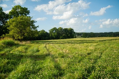 Welcome to Osage Fork Farm, a premier 820+/- acre Ozark property - photo 24