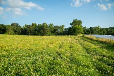 Welcome to Osage Fork Farm, a premier 820+/- acre Ozark property - photo 25