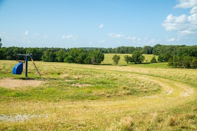 Welcome to Osage Fork Farm, a premier 820+/- acre Ozark property - photo 26