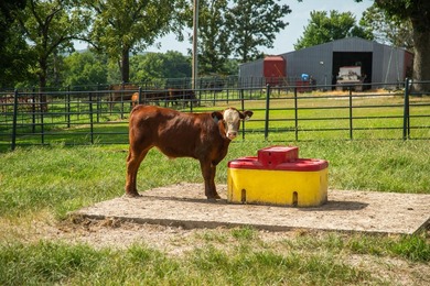 Welcome to Osage Fork Farm, a premier 820+/- acre Ozark property - photo 28