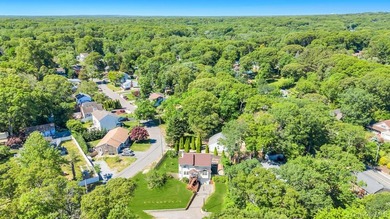 Welcome to 14 Cherry Rd. Must see this beautiful and lovingly - photo 3
