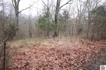 Kentucky Lake Lot For Sale in New Concord Kentucky