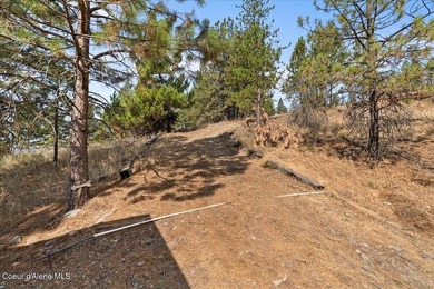 1-Acre Property with Epic Views just 10 minutes to Harrison! - photo 16