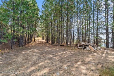 1-Acre Property with Epic Views just 10 minutes to Harrison! - photo 17