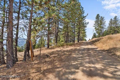 1-Acre Property with Epic Views just 10 minutes to Harrison! - photo 19