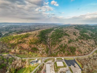 Discover an exceptional opportunity to own approximately 40 - photo 5
