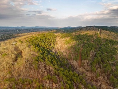 Discover an exceptional opportunity to own approximately 40 - photo 7