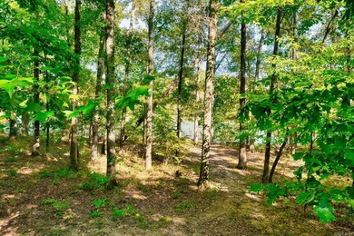 Nestled in a tranquil, 23 Acre wooded setting, this charming - photo 34