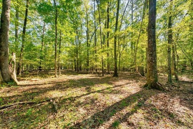 Nestled in a tranquil, 23 Acre wooded setting, this charming - photo 45