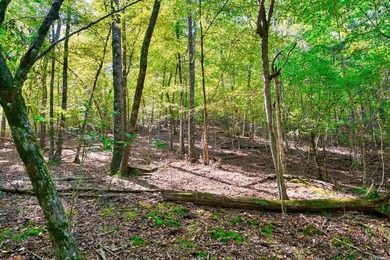 Nestled in a tranquil, 23 Acre wooded setting, this charming - photo 46