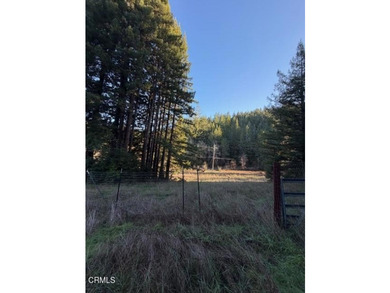 This 2.9-acre property is tucked into a quiet, forested setting - photo 1