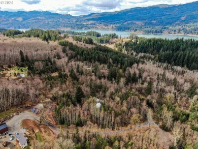 Lake Acreage For Sale in Woodland, Washington