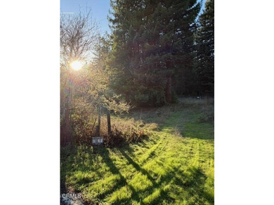 This 2.9-acre property is tucked into a quiet, forested setting - photo 3