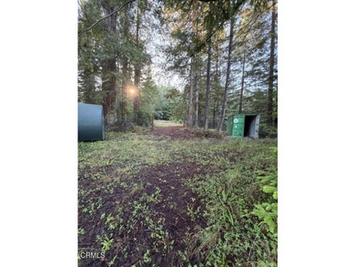 This 2.9-acre property is tucked into a quiet, forested setting - photo 6