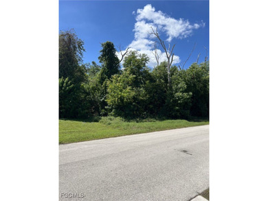 This property is located near Pine Island center. In walking - photo 2