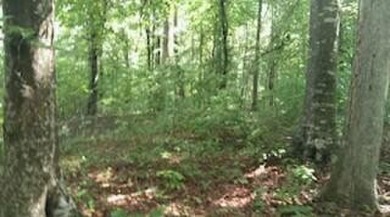 Lake Acreage For Sale in Russell Springs, Kentucky