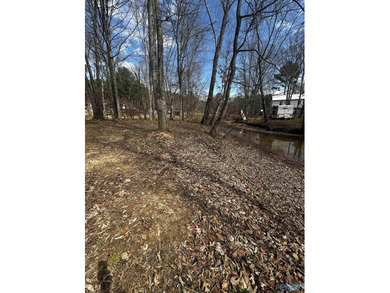 Beautiful river lots conveniently located steps away from the - photo 4