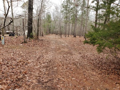 Strom Thurmond / Clarks Hill Lake Lot For Sale in Lincolnton Georgia