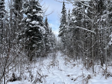 (private lake, pond, creek) Acreage For Sale in Ashland Maine