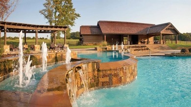 Lake Lot For Sale in Gordonville, Texas