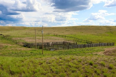 Now on the market north of Saco, this exceptional 522+/- acre - photo 15