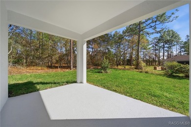 BEAUTIFUL 2025 NEW BUILD with 4 BEDROOMS 3 BATHROOMS + 3 Car - photo 16