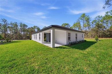 BEAUTIFUL 2025 NEW BUILD with 4 BEDROOMS 3 BATHROOMS + 3 Car - photo 17