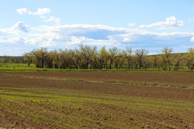 Now on the market north of Saco, this exceptional 522+/- acre - photo 20