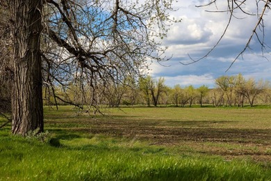 Now on the market north of Saco, this exceptional 522+/- acre - photo 24
