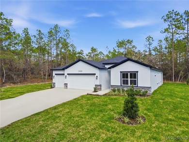 BEAUTIFUL 2025 NEW BUILD with 4 BEDROOMS 3 BATHROOMS + 3 Car - photo 24