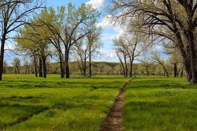 Now on the market north of Saco, this exceptional 522+/- acre - photo 25