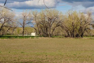 Now on the market north of Saco, this exceptional 522+/- acre - photo 26