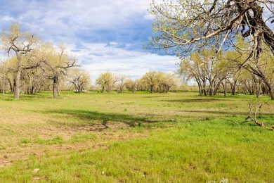 Now on the market north of Saco, this exceptional 522+/- acre - photo 27