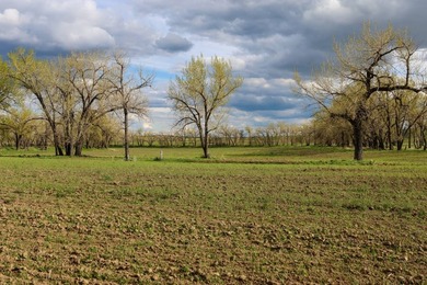 Now on the market north of Saco, this exceptional 522+/- acre - photo 28