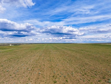 Now on the market north of Saco, this exceptional 522+/- acre - photo 31