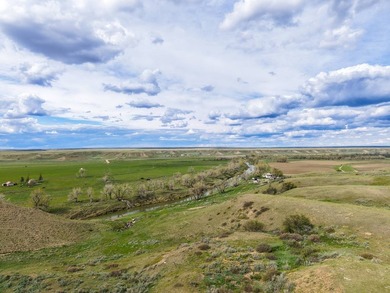 Now on the market north of Saco, this exceptional 522+/- acre - photo 32