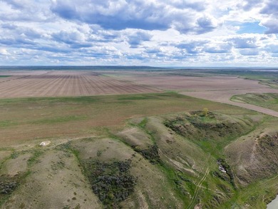 Now on the market north of Saco, this exceptional 522+/- acre - photo 37