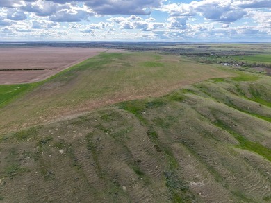 Now on the market north of Saco, this exceptional 522+/- acre - photo 38