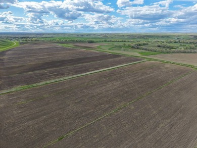 Now on the market north of Saco, this exceptional 522+/- acre - photo 39