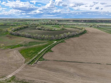 Now on the market north of Saco, this exceptional 522+/- acre - photo 40