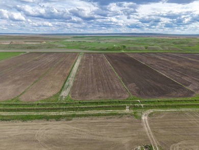 Now on the market north of Saco, this exceptional 522+/- acre - photo 42