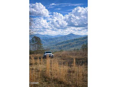 220 Acres of Pristine Mountain Farmland at the Base of Bluff - photo 1