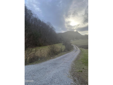 220 Acres of Pristine Mountain Farmland at the Base of Bluff - photo 2