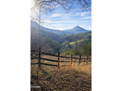 220 Acres of Pristine Mountain Farmland at the Base of Bluff - photo 3