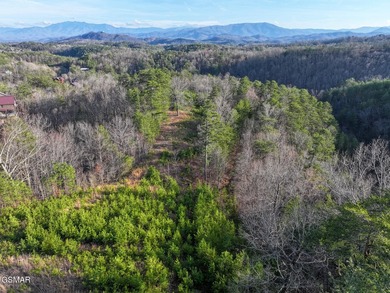 220 Acres of Pristine Mountain Farmland at the Base of Bluff - photo 4