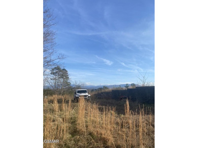 220 Acres of Pristine Mountain Farmland at the Base of Bluff - photo 5