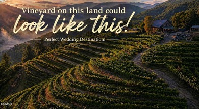 220 Acres of Pristine Mountain Farmland at the Base of Bluff - photo 6